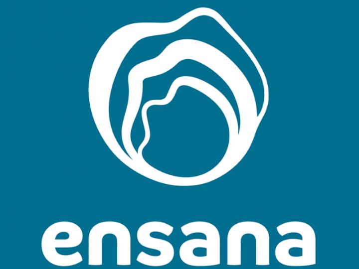 Ensana Hotels
