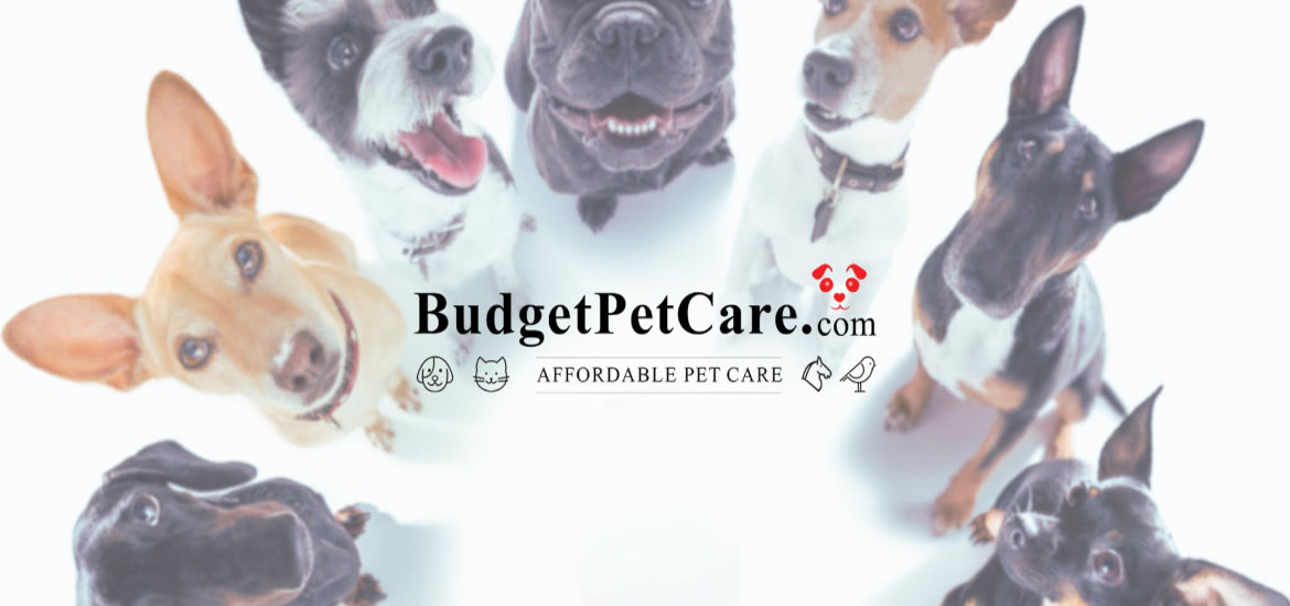 Budget Pet Care